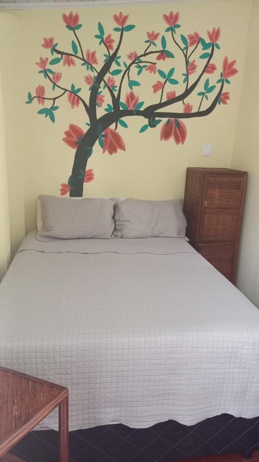 Hostel Sol Da Barra 살바도르 외부 사진